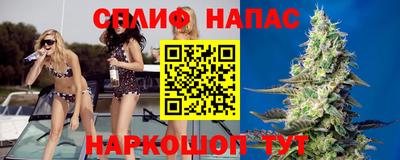 сатива Гусиноозёрск
