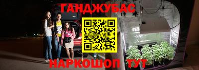 ALPHA PVP Гусев