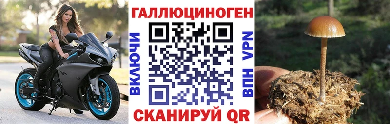 Псилоцибиновые грибы ЛСД  дарнет шоп  Наро-Фоминск 