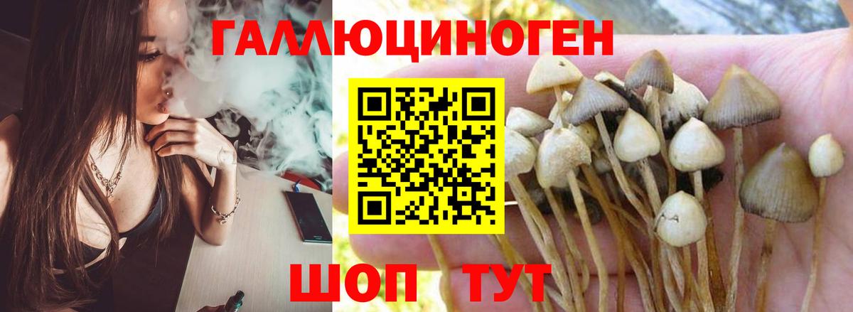 Галлюциногенные грибы Psilocybe  Галлюциногенные грибы мицелий  Вход с VPN  Наро-Фоминск 